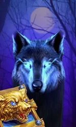 Book Of The Night Wolf